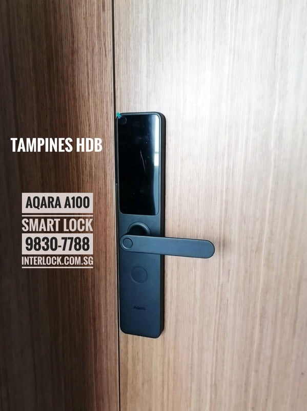 Aqara A100 智能门锁 customer installation photo
