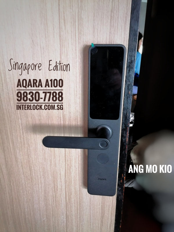 Aqara A100 智能门锁 customer installation photo