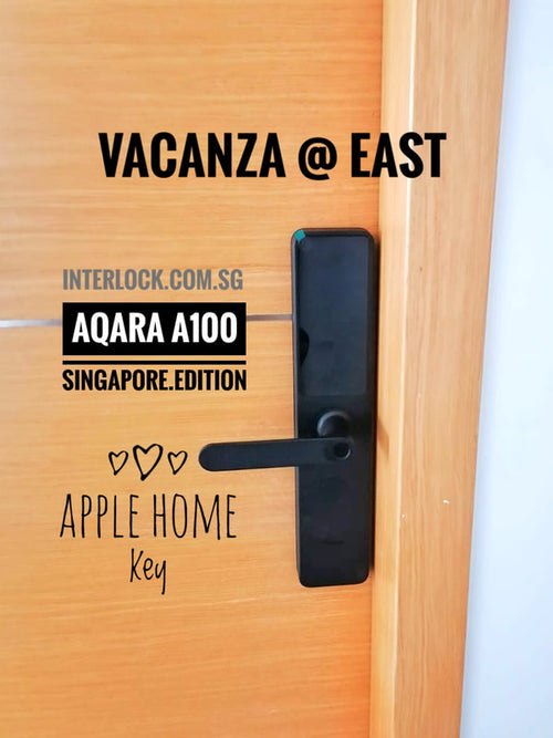 Aqara A100 Customer Gallery: 5