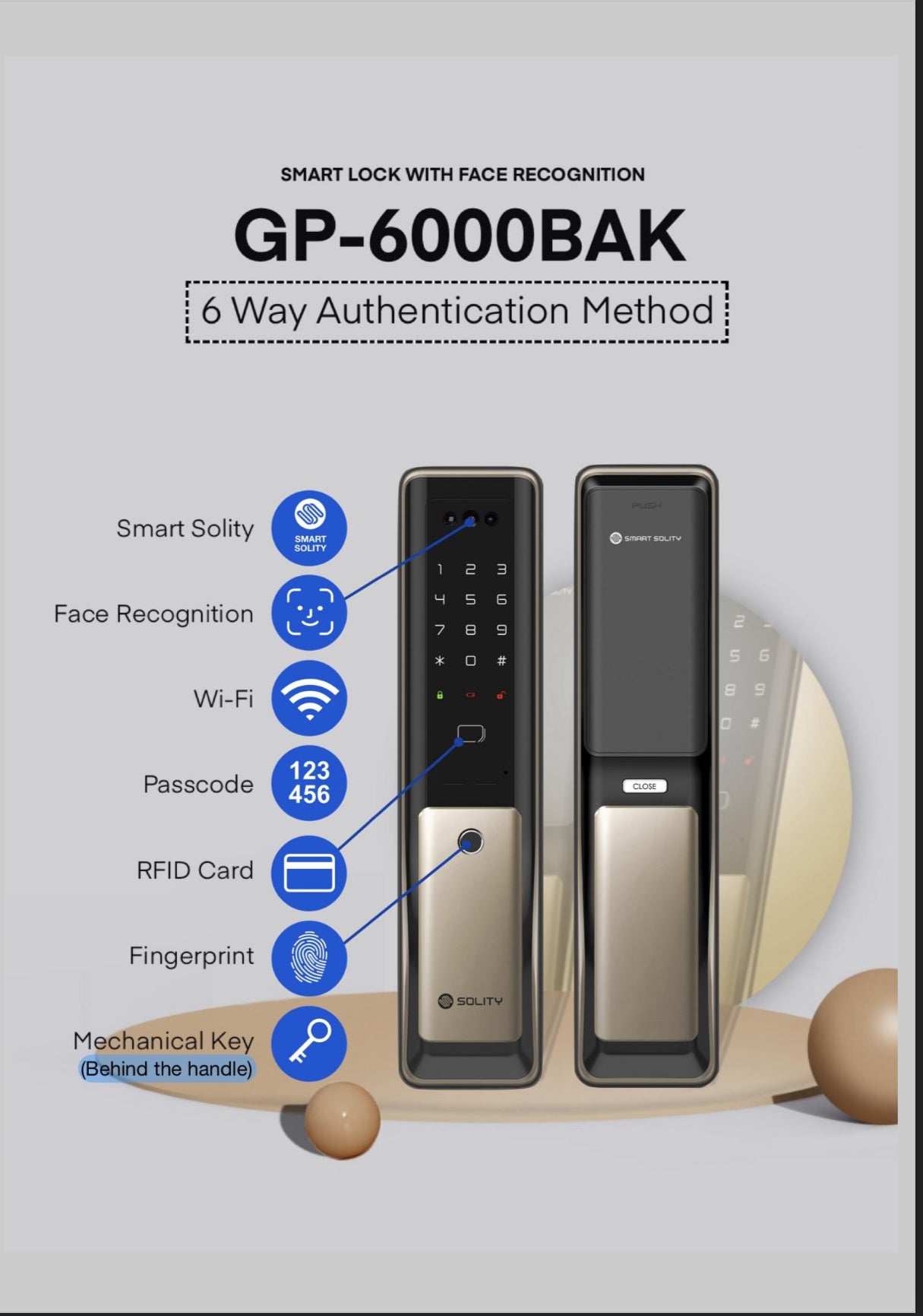 Solity GP6000 (Facial): 6 Authentication Methods to unlock the digital lock