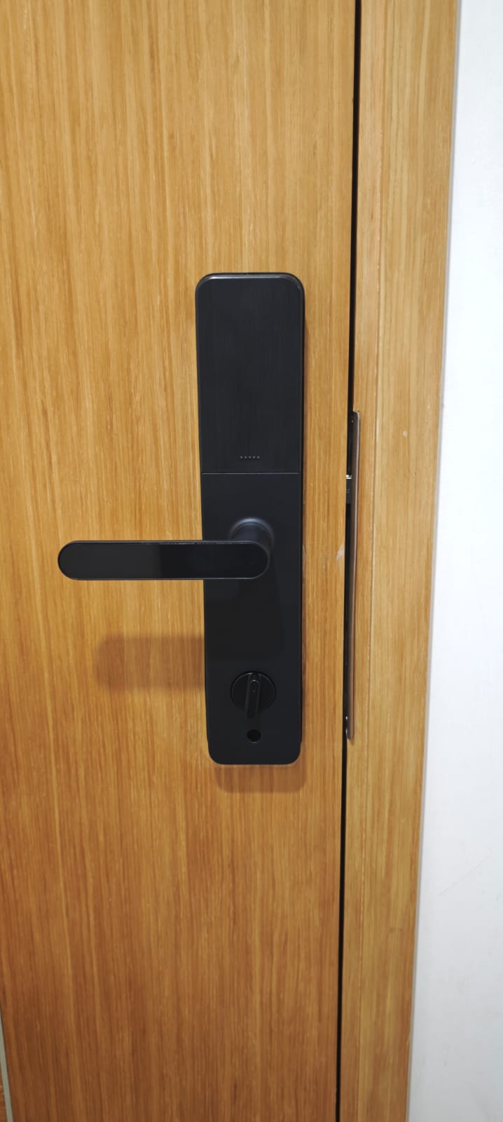 Interlock Mercury X2 Digital Door Lock customer installation photo