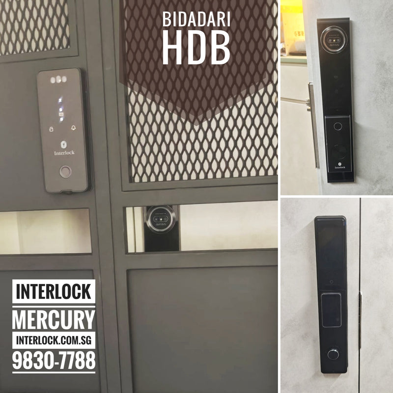 Interlock Mercury 智能大门与铁门锁套装 customer installation photo