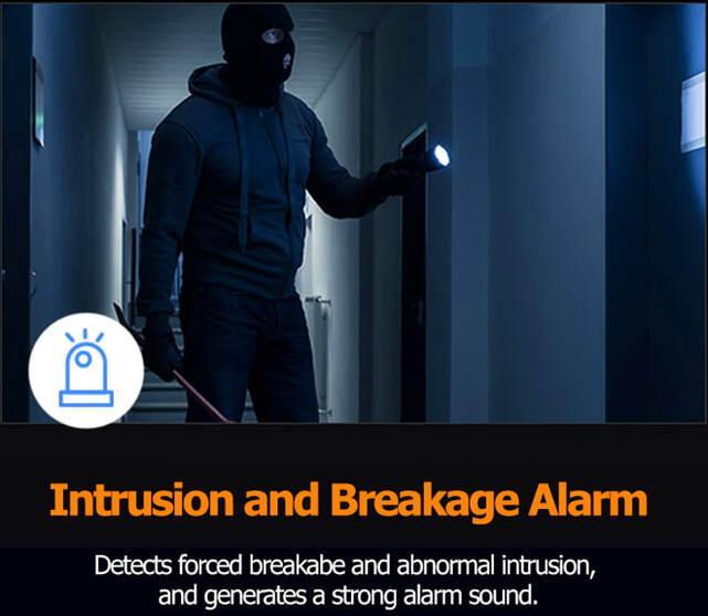 Solity GSP2000: Intrusion and Breakage Alarm System