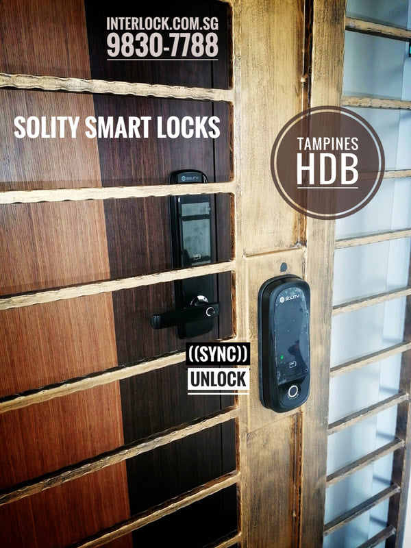 Solity Gate and Door Lock: Customer Gallery 5