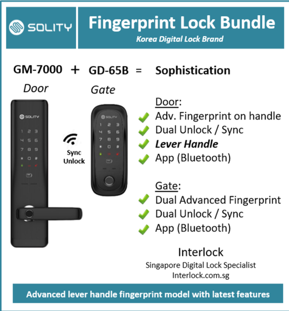 Solidy Door and Gate Smart Lock bundles GM-6000BKF GD-65B Interlock Singapore